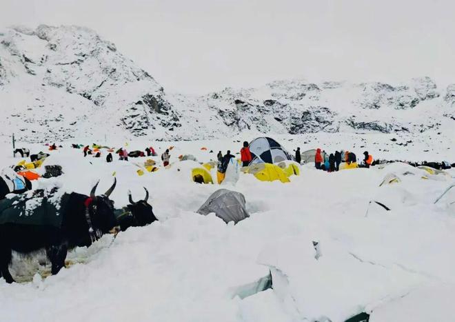 珠峰东坡生死大逃亡不朽情缘电子游戏(图10) 珠峰东坡生死大逃亡不朽情缘电子游戏(图10)