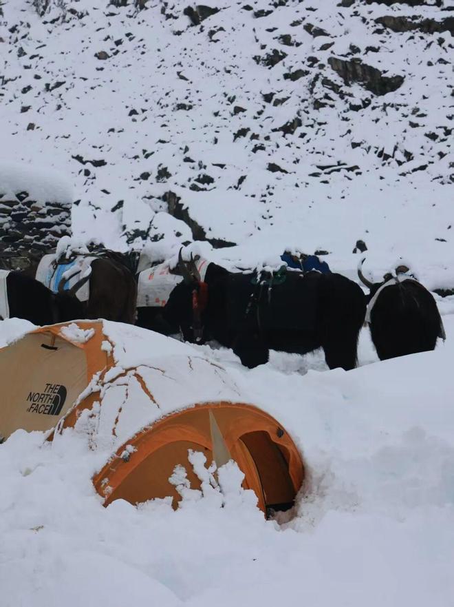 珠峰东坡生死大逃亡不朽情缘电子游戏(图12) 珠峰东坡生死大逃亡不朽情缘电子游戏(图12)